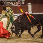 Pablo Mora ejecutando un derechazo en la final del certamen de novilladas nocturnas de Las Ventas / Plaza 1