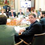 El ministro de Agricultura, Pesca y Alimentación, Luis Planas, durante la reunión del Consejo Consultivo de Política Agrícola, ayer en Madrid / Efe