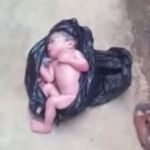 Encuentran vivo a un recién nacido abandonado en una bolsa de basura