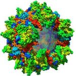 Una partícula de virus adenoasociados (AAV)