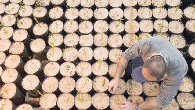 Cambio climático en primera persona