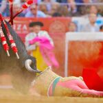 El matador de toros madrileño José Tomás fue volteado sin consecuencias por el primer toro del festejo, el pasado domingo en la Monumental de México
