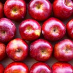 Las manzanas son la fruta más consumida por niños y adolescentes