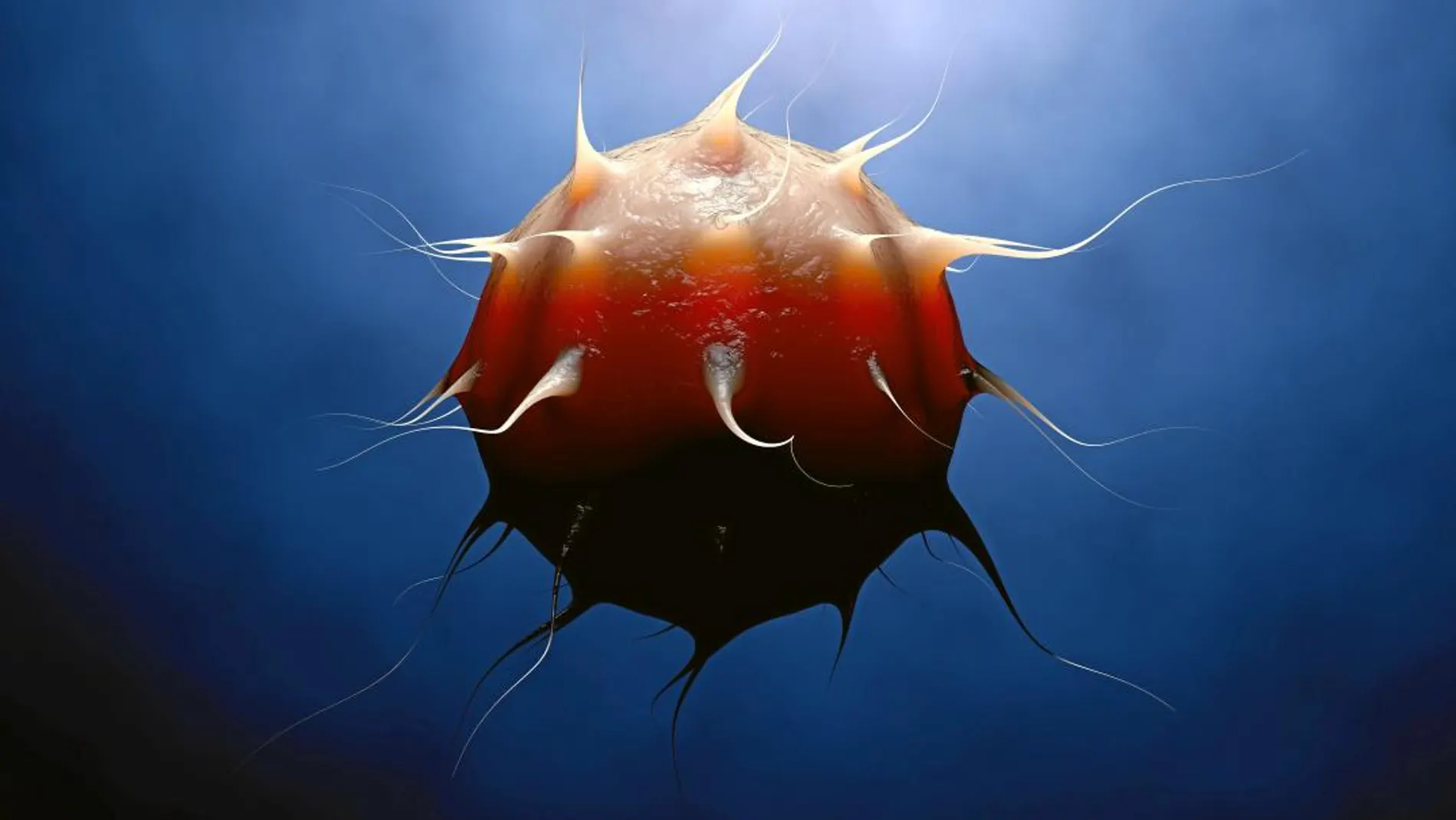 Los expertos conocen 260 virus animales que podrían infectar al ser humano, pero éstos representan menos del 1% del total