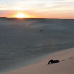 Tozeur, la puerta del desierto