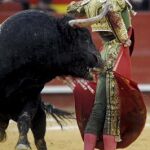 El diestro Sebastián Castella da un pase a su segundo astado, "Inquemable", durante la corrida de toros de la Feria de Fallas