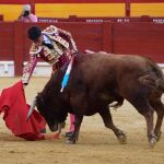 Borja David Ximelis dando un derechazo en Alicante / @TOROSALICANTE