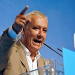 El vicesecretario de Política Autonómica y Local del PP, Javier Arenas,