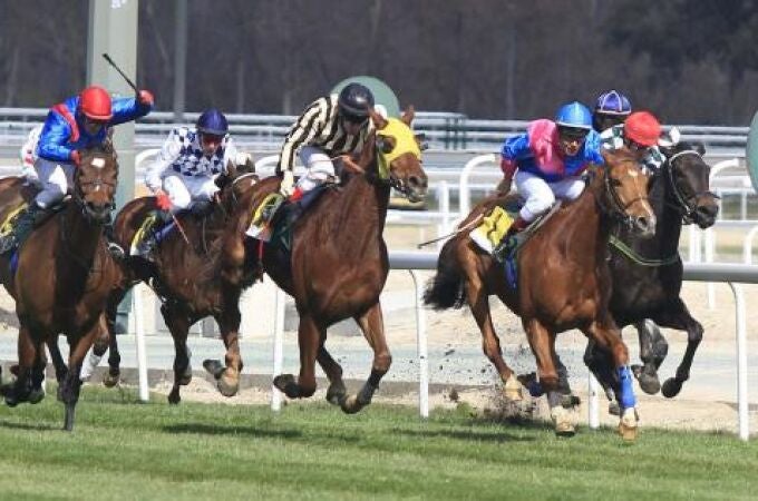 Carrera en el Hipódromo de la Zarzuela Carrera en el Hipódromo de la Zarzuela