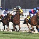 Carrera en el Hipódromo de la Zarzuela