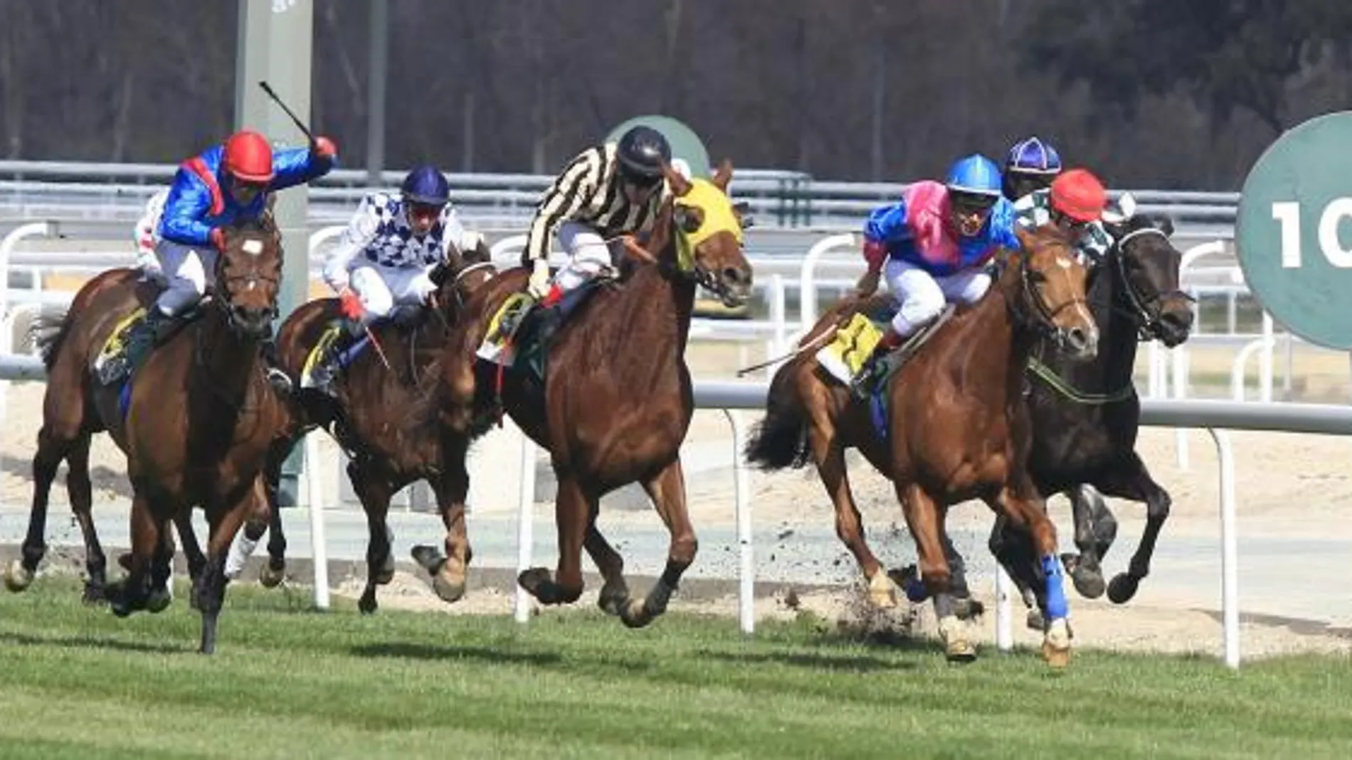 Carrera en el Hipódromo de la Zarzuela