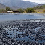 Primera piscina de Aguas del Valle en Combarbalá donde se han utilizado las esferas para reducir la evaporación