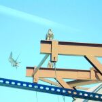Halcones contra las palomas «urbanitas»