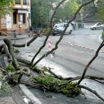 El granizo derribó 35 árboles, causó daños en viviendas y garajes, provocó hundimientos del firme en varios puntos y tiró varios muros