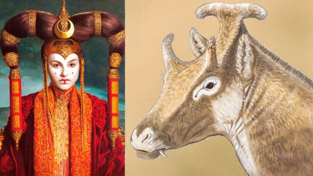 Venganzas y mensajes ocultos tras los nombres de las especies