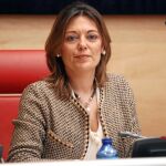 La consejera de Familia e Igualdad de Oportunidades, Milagros Marcos, momentos antes de comparecer en las Cortes para hacer balance de la aplicación de la Ley de Dependencia en Castilla y León