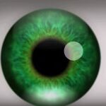Una ilusión óptica provoca alucinaciones durante unos segundos