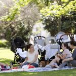 El buen tiempo de estos días deja paso a una importante bajada de temperaturas. Efe