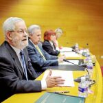 El fiscal superior, durante su comparecencia