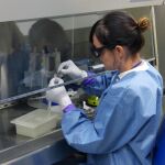 El virus puede permanecer en el semen durante seis meses.