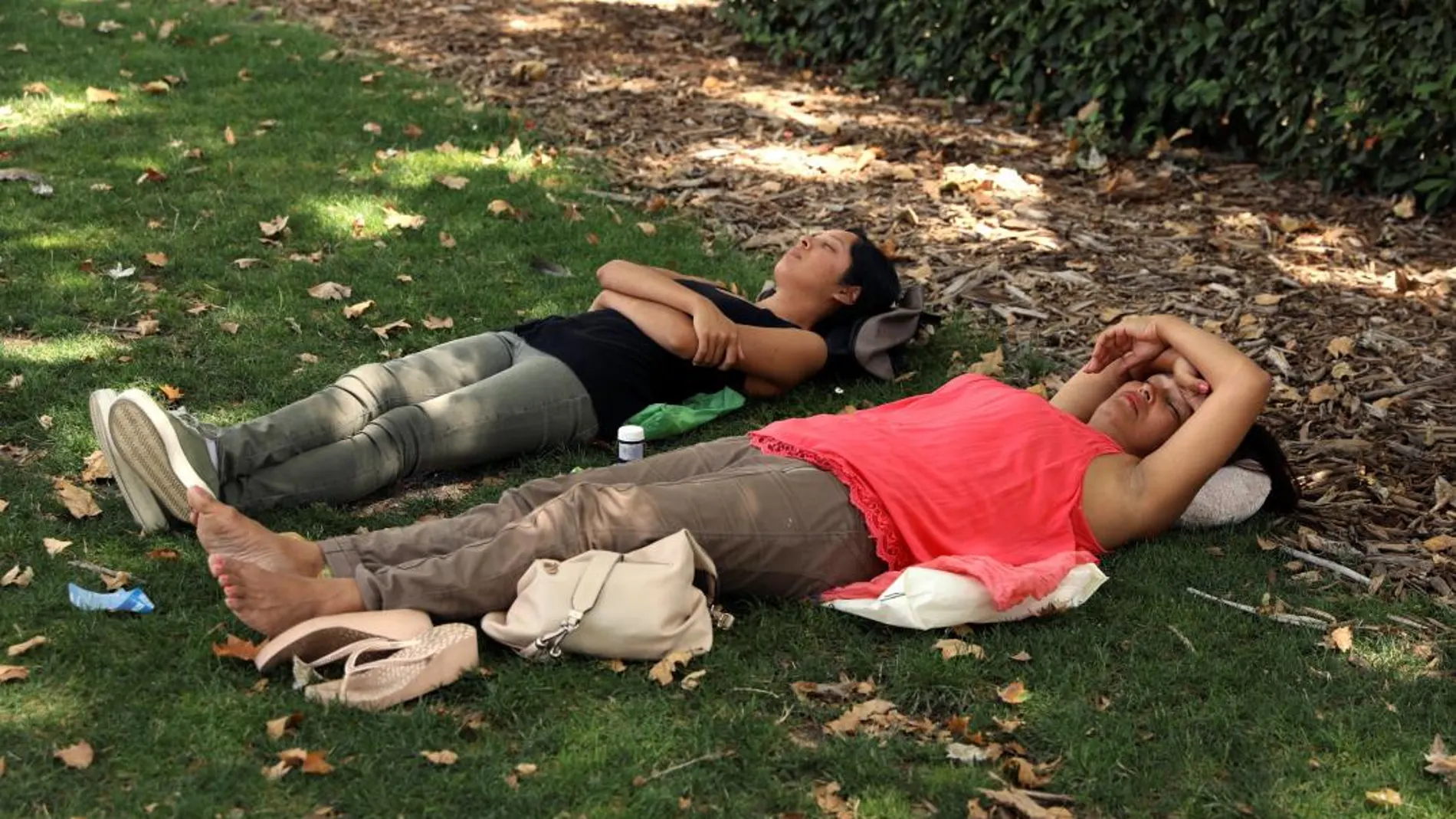 Dos jóvenes se echan la siesta en un parque
