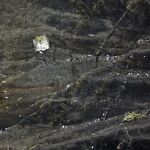 Imagen del lugar en el que se estrelló el avión de Germanwings
