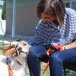 Los españoles duermen más con su mascota que con sus hijos