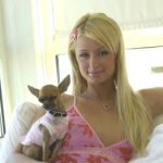 Paris Hilton construye una mansión para sus perros