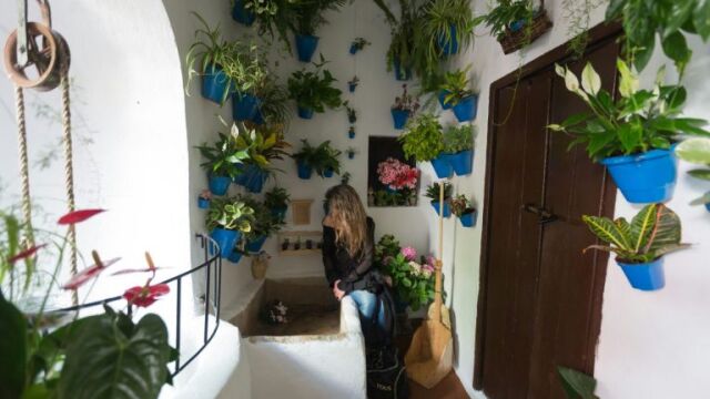 Patios de Córdoba: el alma de las flores...