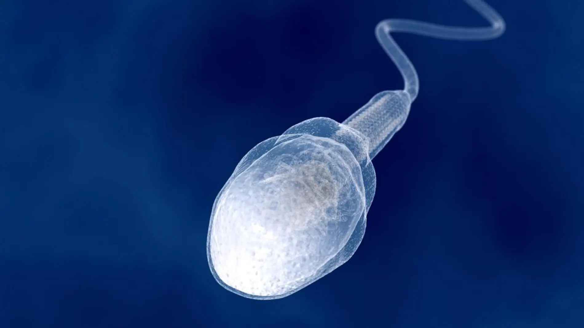 Donación de semen: requisitos para ser donante, cuánto se paga y cómo es el proceso