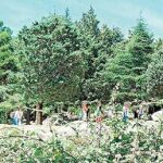 Ruta Verde: cuatro horas por El Yelmo