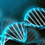 Cada molécula de ADN cuenta con dos cadenas de eslabones químicos