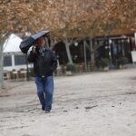 Vuelen las lluvias