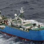 Los sancionados tenían relación con los barcos "Viking"y "Seabull 22", que habían sido incluidos en la lista comunitaria de buques de pesca ilegal en 2010