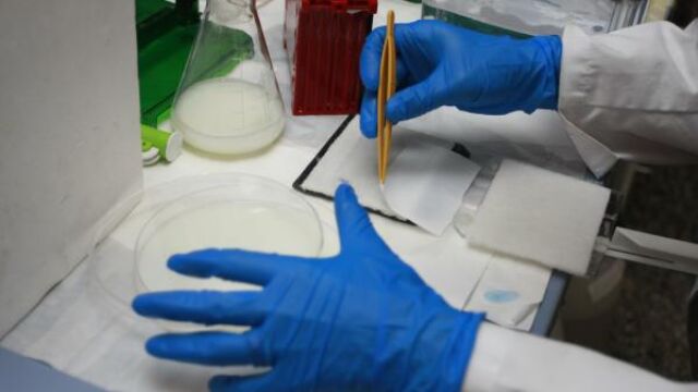 Programas de cribado de cáncer de colon 