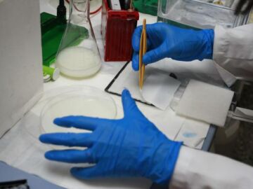 Programas de cribado de c&aacute;ncer de colon 