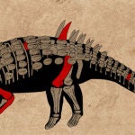 Reconstrucción del Acantholipan gonzalezi / Conacyt