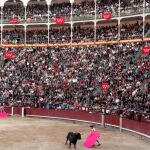 Taurodelta remata las novilladas del mes de julio