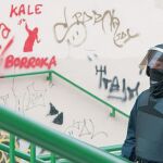 Los detenidos están acusados de terrorismo callejero y de ocultar propaganda proetarra