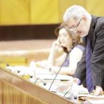 El consejero de Economía, Innovación y Ciencia, Antonio Ávila, departamento del que depende Sadesi, en el Pleno del Parlamento