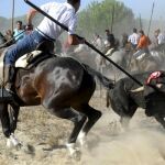 Marcos Rodríguez da muerte al Toro de la Vega en un torneo «rápido»