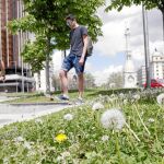 La emisión de partículas contaminantes en las ciudades favorece el número de alérgicos