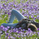 Una persona duerme en un parque. Fuente:AP