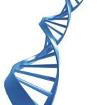 Secuenciar el ADN para conocer la respuesta a la quimioterapia