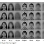 ¿A qué distancia puede un bebé identificar a una persona?