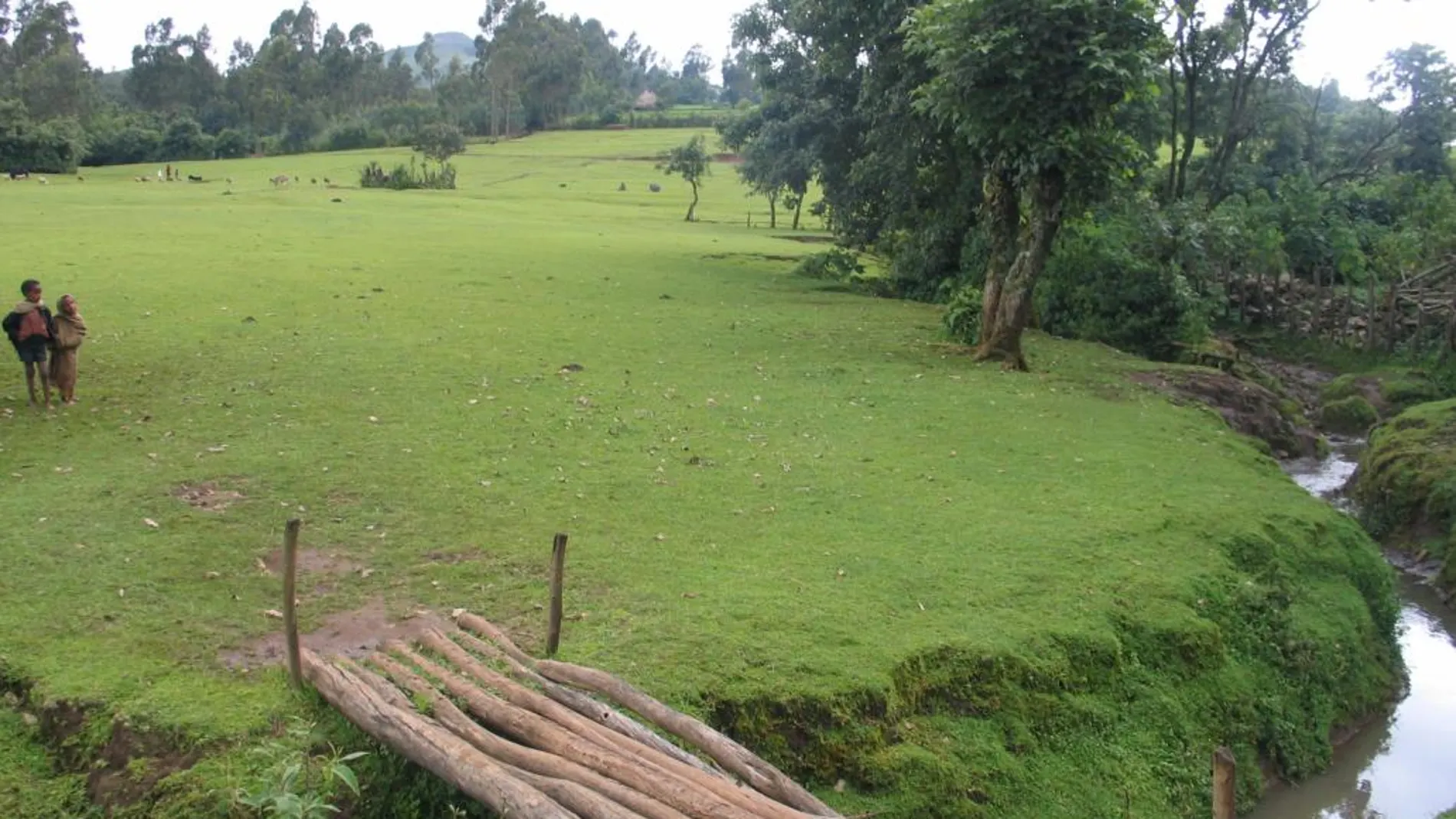 Fuentes del Nilo Azul en Gish Abay/Foto: Ricardo Coarasa