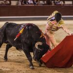 El novillero Carlos Ochoa dando un natural anoche, en Las Ventas / Plaza 1