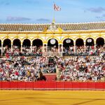 Tendido de sol de la plaza de toros de Sevilla