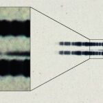 Una placa de 1917 revela la primera evidencia de planetas extrasolares