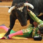 Perera sufrió dos percances en la tarde que suponía su vuelta al traje de luces
